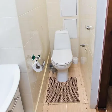 акуратні в центрі львова Apartment *