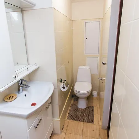 акуратні в центрі львова Apartment Lviv