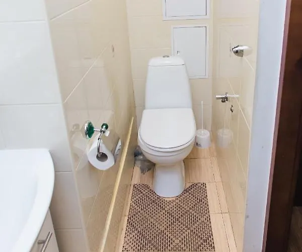 акуратні в центрі львова Apartment *